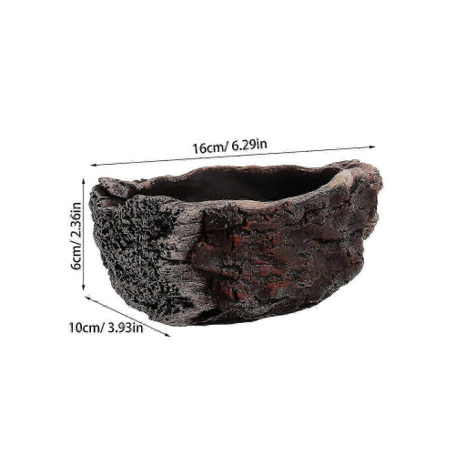 Unique Dark Brown Cement Succulent Flower Pot for Indoor Use