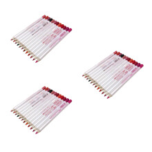 36Stk Lipliner Stifte Set 12 Farben Für Natürlichen Look