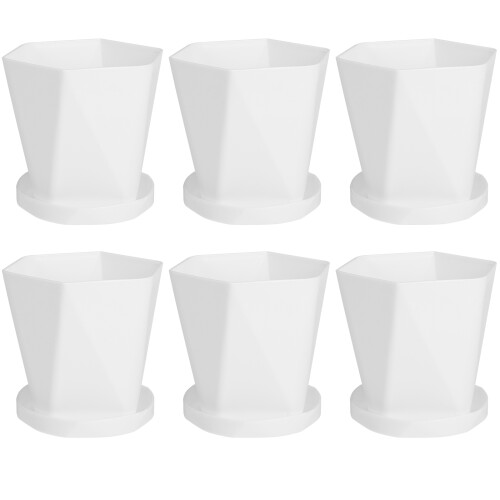 12Ensembles Mini-Pots Succulentes Blancs Support Plastique