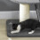 Arbre à chat avec plateforme et balle de jeu, gris 8