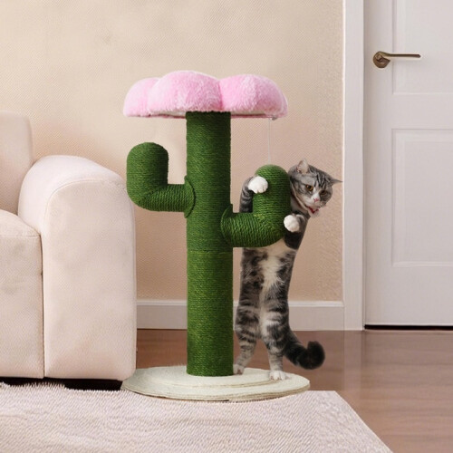 Griffoir vert cactus pour petits chats d'intérieur