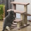 Arbre à chat avec escalier et balle de jeu pour petits chats 8