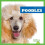 Poodles by Kaitlyn Duling Hardcover Book 1