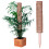 My Garden Moss Pole 1