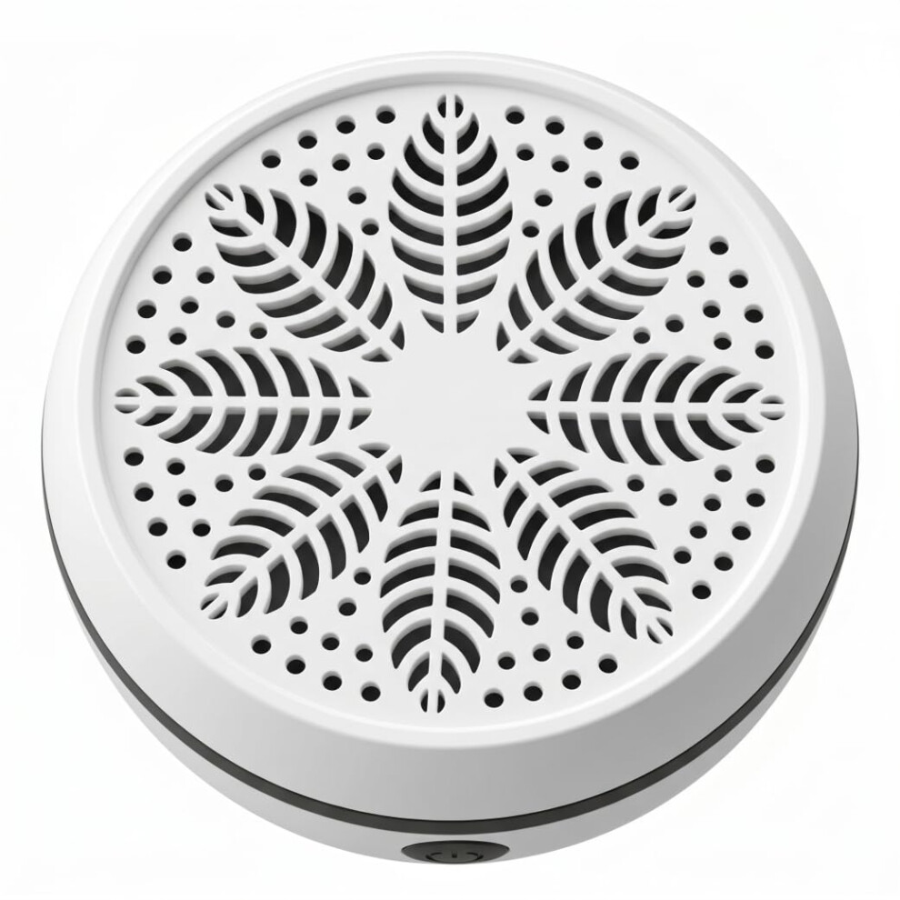 Ameble 2000Mah Portable Fruit And Vegetable Washing Machine, Titanium