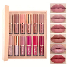 (12pcs/set) 12pcs/set Colors Lip Gloss Set Liquid Lip Gloss Makeup Cosmetic Liquid Lipstick Smudge Proof Waterproof Lip Tint Set Mother's Day Gift