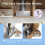 Bake-O-Glide Induction Hob Protector, Original - Standard (590 x 520mm 3