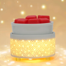 Geronland Wax Melt Burner Ceramic 3-in-1 Oil Burner Electric Candle
