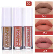 (Matches the image) 3Pcs/set Mirror Aqua Lip Glaze Matte Lip Gloss Highly Pigmented Lipstick Easy To Color Non-Stick Cup Lip Glaze Lipstick