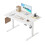 Agilestic Height-Adjustable Electric Desk 1