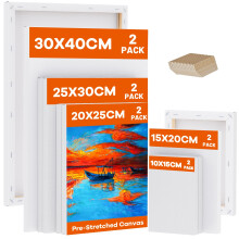 Koncci Stretched Canvas for Painting, 10 Packs Multiple Sizes Canvases Set, 30x4