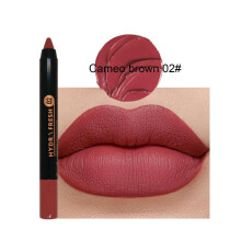 (Matches the image) Velvet Matte Lipstick Pen Lip Liner Pencil, Long-lasting High-Pigment Lip Gloss Non-stick Lip Glaze Lip Makeup for Women