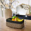 TIMEYARD Storage Baskets - Shelf Baskets for Organizing Dog Toy Basket 3