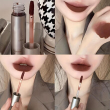 (Matches the image) Velvet Matte Mist Lip Gloss Waterproof Non-Stick Cup Lip Glaze Smudge Proof Not Fade Liquid Lipsticks