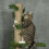 Albero gioco per gatti regolabile in altezza, da soffitto, colore verde. 7