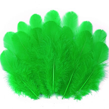 Soarer Grass Green Craft Feathers Bulk