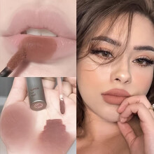 (Matches the image) Velvet Matte Mist Lip Gloss Waterproof Non-Stick Cup Lip Glaze Smudge Proof Not Fade Liquid Lipsticks