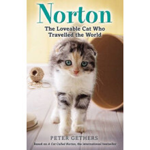 Norton The Loveable Cat Who Travelled the World by Peter Gethers Paper