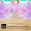 Mienocol Large Quick Dry Microfibre Beach Bath Towel 4