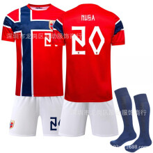 (S) 2026 No. 20 Nusa USA-Mexico-Canada World Cup Norway Home Jersey