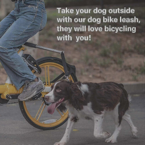 Retractable leash for bicycle rides with dogs 2