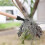 Root remover tool with foot pedal for effortless weeding 5