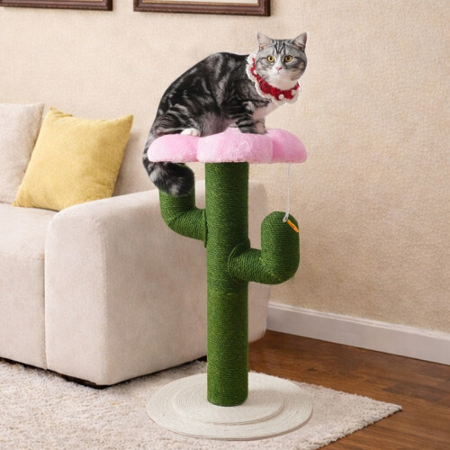 Griffoir vert cactus pour petits chats d'intérieur 1