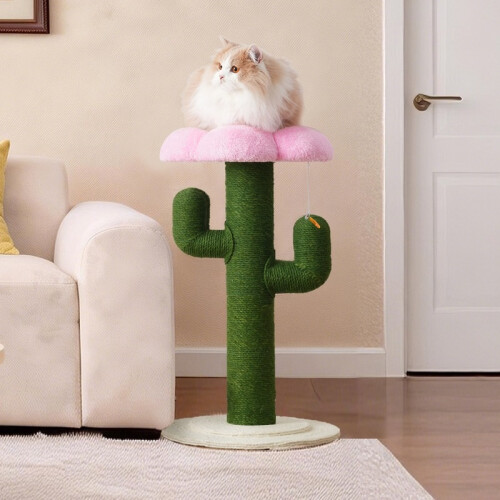 Griffoir vert cactus pour petits chats d'intérieur 2
