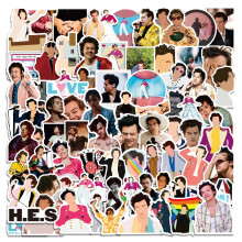 100PCS Singer Harry Styles Stickers for Laptop and Water Bottles,Waterproof Durable Trendy Vinyl Laptop Decal Stickers Pack for Teens, Water Bottles
