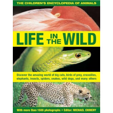 Childrens Encyclopedia of Animals Life in the Wild Paperback Book