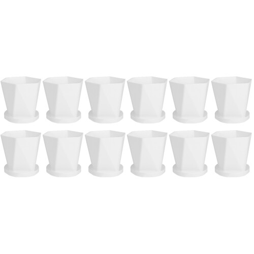 12Ensembles Mini-Pots Succulentes Blancs Support Plastique 1