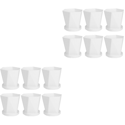 12Ensembles Mini-Pots Succulentes Blancs Support Plastique 2