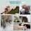 Mur d'escalade mural pour chats, beige 6