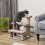 Arbre à chat avec escalier et balle de jeu pour petits chats 2