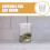 Clear Glass Ecological Bottle Multifunctional Terrarium Decor 5