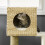 Árvore para gatos com caverna, cama e escada para gatos pequenos. 8