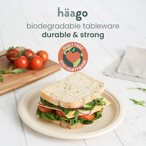 HAAGO 100 Strong Compostable Sugarcane Plates 1
