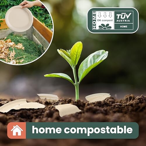 HAAGO 100 Strong Compostable Sugarcane Plates 2