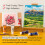 MEEDEN Heavy Body Acrylic Paint - Basic 24 x 60ml (2 oz) Color Paint S 6