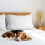 LuxClub Double Fitted Sheet - with 40cm Deep Pocket Extra Depth Microf 6