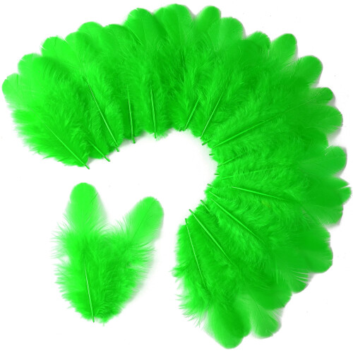 Soarer Grass Green Craft Feathers Bulk 1