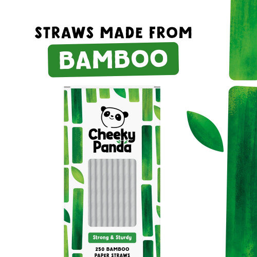 The Cheeky Panda The Cheeky Panda Bamboo Paper Straws 1