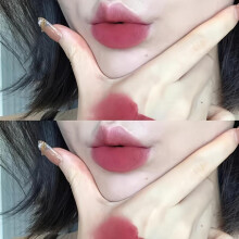 (Matches the image) Velvet Matte Mist Lip Gloss Waterproof Non-Stick Cup Lip Glaze Smudge Proof Not Fade Liquid Lipsticks