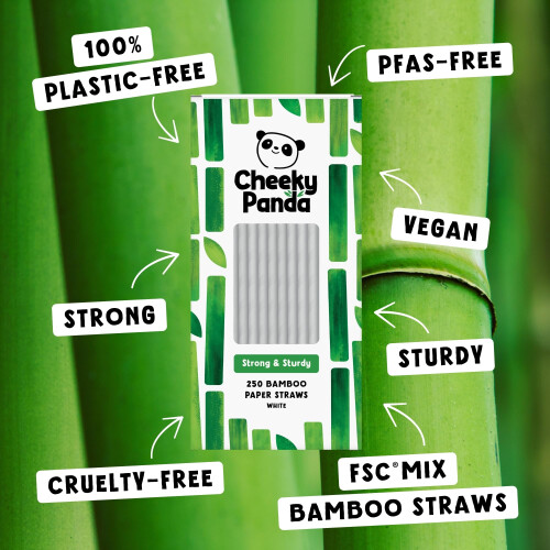 The Cheeky Panda The Cheeky Panda Bamboo Paper Straws 2