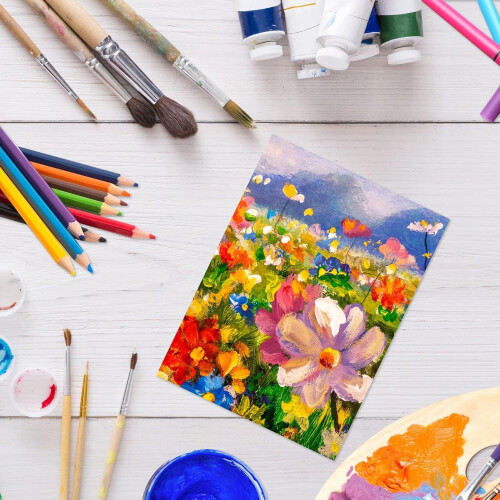 12-Pack Stretched Canvas Set - 18x24 - 25x30 2