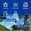 Tenee Complete Cyanotype Kit for Sun Printing 3