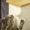 Tiragraffi con giocattoli per interni, beige e naturale 6