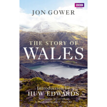 Story of Wales by Jon Gower Paperback Book