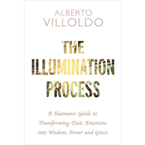 Illumination Process by Alberto Villoldo Paperback Book