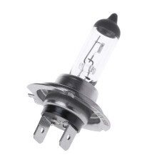 20Pcs 55W H7 Halogen Bulbs Car Fog Headlight Halogen Lamp Warm Light Auto Accessories Universal Headlights Bulbs